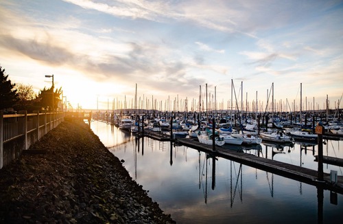 Everett Apartment | "Sunny Studio Retreat, Steps from Downtown"