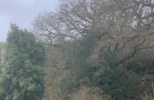 Belvedere House | Sunny Studio with en-suite