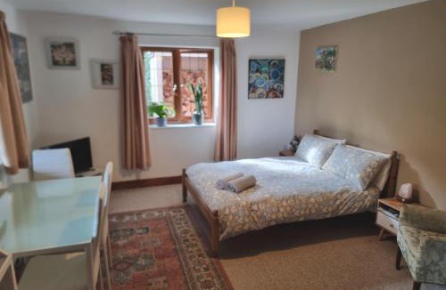 Pill Apartment | Sunnyside