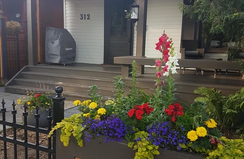 Sunnyside Cottage | Sunnyside Urban Cottage Oasis 2