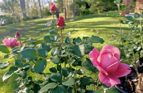 Rocky Point Apartment | Sunrise lake house