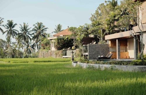Melayang Villa | sunrise villa in the middle of rice field
