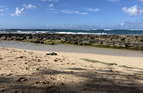 Pupukea Apartment | Sunset Beach Studio 30 days minimum