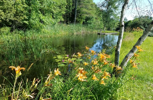 Windsor Cabin | Sunset Cabin - your private romantic hideaway