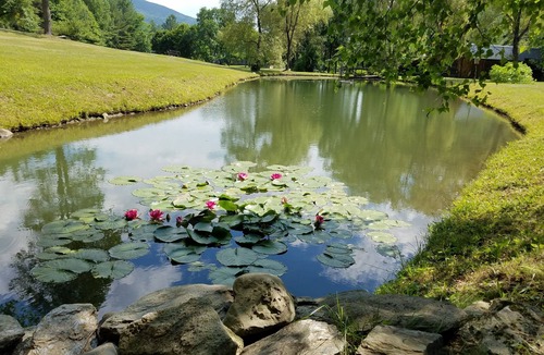 Windsor Cabin | Sunset Cabin - your private romantic hideaway