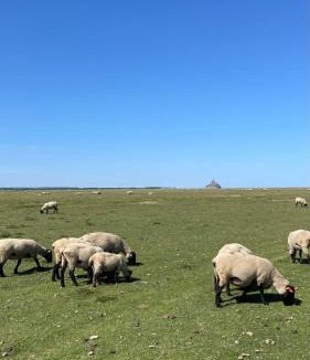 Ceaux House | Sunset Family Guesthouse Mont Saint Michel