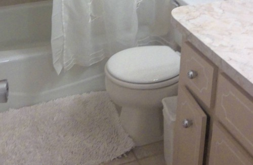 Lake Worth Corridor Apartment | Sunshine Apt. @ Pairadice Palms