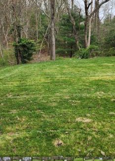 East Falmouth Apartment | Sunshine Beautiful