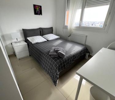 Cusset Apartment | Super 4 Pièces refait à neuf