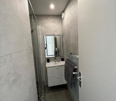 Cusset Apartment | Super 4 Pièces refait à neuf