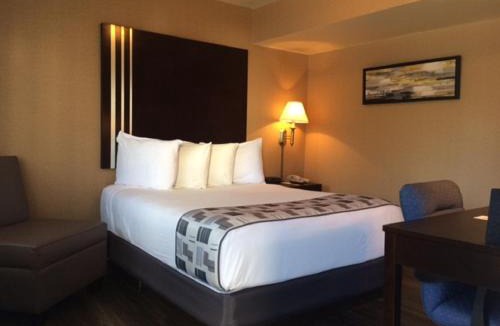 Colonie Hotel | Super 8 by Wyndham Albany