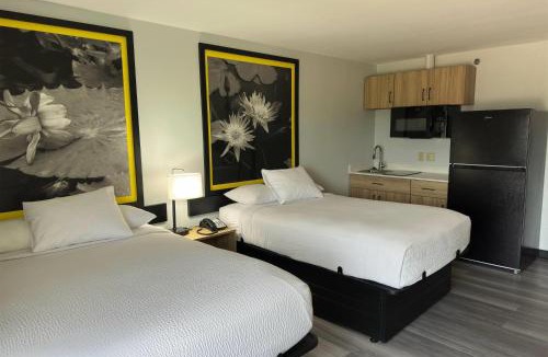 Alexandria Hotel | Super 8 by Wyndham Alexandria LA