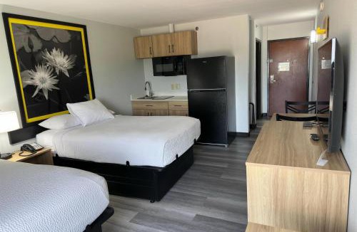 Alexandria Hotel | Super 8 by Wyndham Alexandria LA