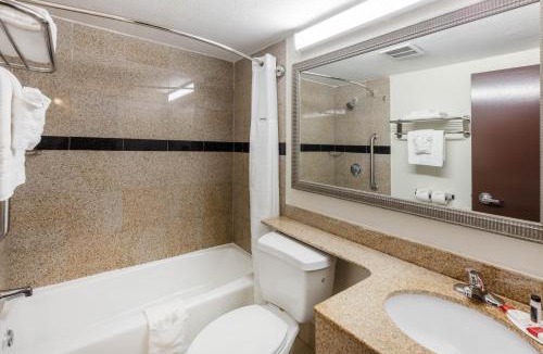 Beaumont Hotel | Super 8 by Wyndham Beaumont I-10 College St