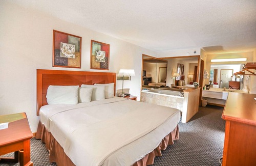 Branson Theater District Hotel | Super 8 by Wyndham Branson/Shepherd of the Hills Exwy