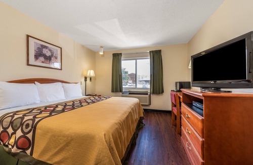 Denton Hotel | Super 8 by Wyndham Denton