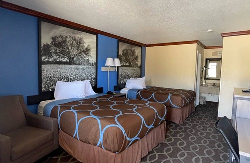 San Marcos Hotel | Super 8 by Wyndham San Marcos