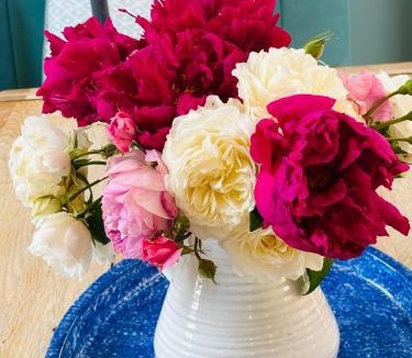 Lodsworth Villa | Super Host Large Luxury Cottage South Downs Park