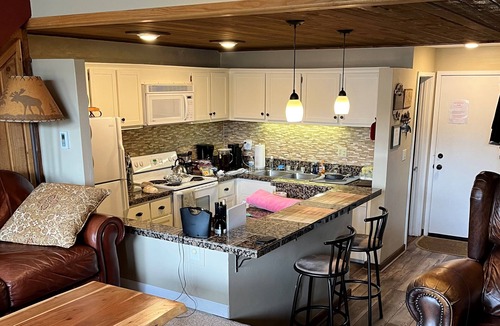 Mount Crested Butte Condo | Super location for your ski vacation!