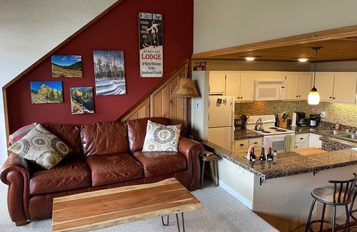 Mount Crested Butte Condo | Super location for your ski vacation!