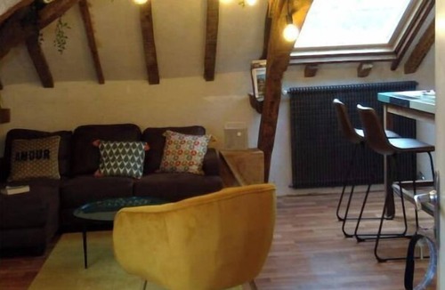 Bouchemaine Apartment | Superb apartment with Loire view under the roofs