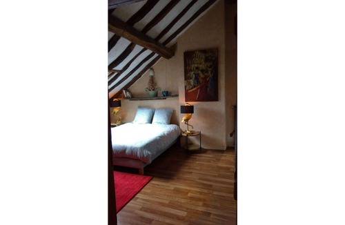 Bouchemaine Apartment | Superb apartment with Loire view under the roofs