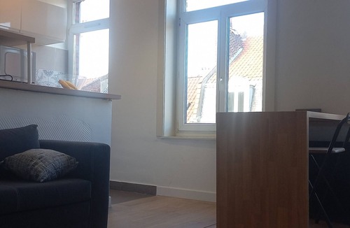 Lille-Moulins Apartment | Superb, bright apartment