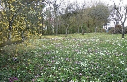 Merry-Sec Cottage | Superb farmhouse Bourguignonne