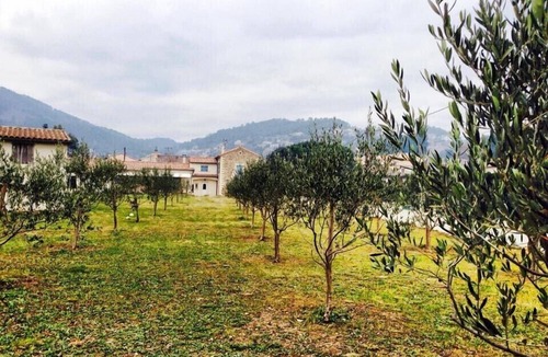 Les Taillades House | Superb house with enclosed pool