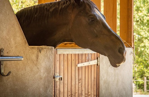 Tournon-d'Agenais Villa | Superb luxury manor on stud farm with private swimming pool