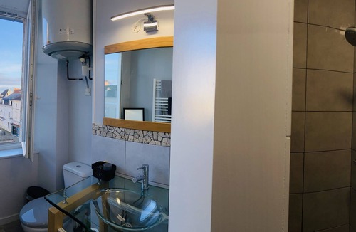 Gannat Apartment | Superb studio jungle downtown Gannat.