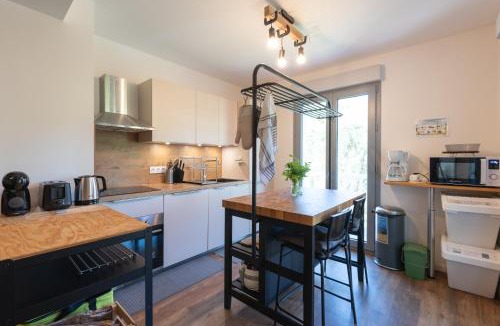 Bagneres-de-Bigorre Apartment | Superbe Appartement rénové