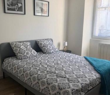 La Cote-Saint-Andre Apartment | Superbe Appartement