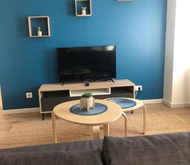 La Cote-Saint-Andre Apartment | Superbe Appartement