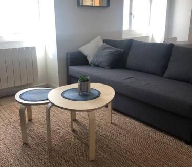 La Cote-Saint-Andre Apartment | Superbe Appartement