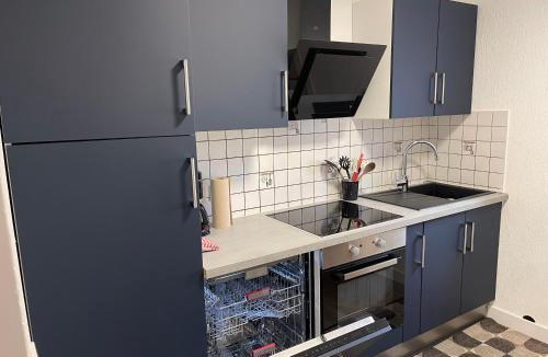 Villerupt Apartment | Superbe Appartement au RDC avec cheminée