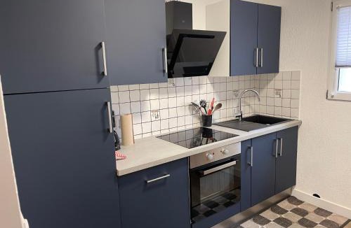 Villerupt Apartment | Superbe Appartement au RDC avec cheminée