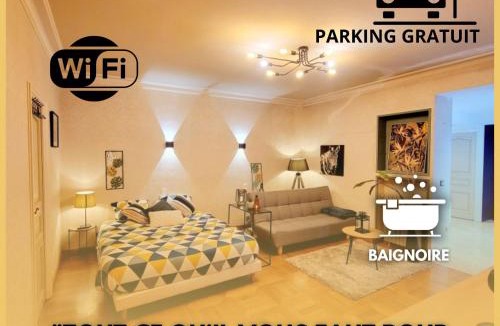Graulhet Apartment | Superbe Appartement Calme et Spacieux