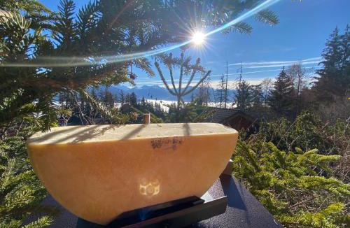 Anzere Ski Chalet | Superbe chalet 12 personnes vue imprenable 2nuits min