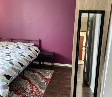 Vandoeuvre-les-Nancy Apartment | Superbe Chambre parentale avec salle de bains privée et WC privés, wifi, cuisine