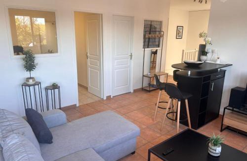 Saint-Orens-de-Gameville Apartment | Superbe Loft 100m2 proche du centre de Toulouse