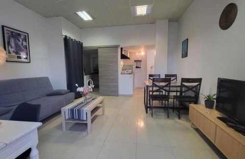 Villeveyrac Apartment | superbe loft climatisé jardin et piscine