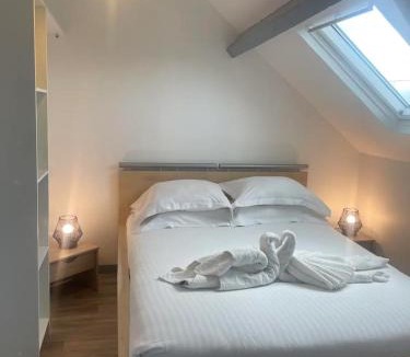 Sedan Apartment | Superbe loft neuf - 1 chambre- face au Château - RIMBAUD