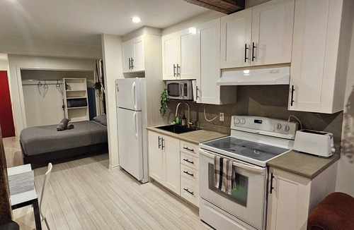 Hochelaga-Maisonneuve Apartment | Superbly renovated loft in a great location