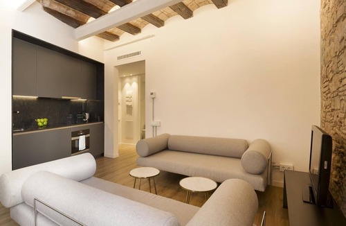 El Born Apartment | Superior Deluxe One Bedroom Apartment