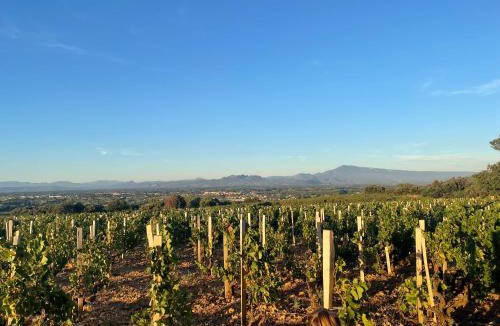 Courthezon Apartment | Sur la route des vignerons