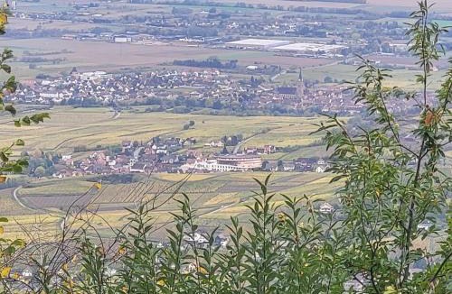 Rorschwihr House | Sur la Route du Vin