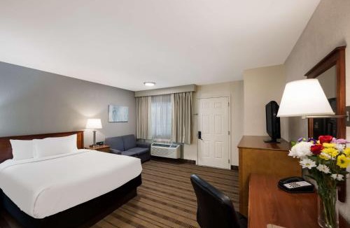Woodbury Hotel | SureStay Plus by Best Western Woodbury Inn