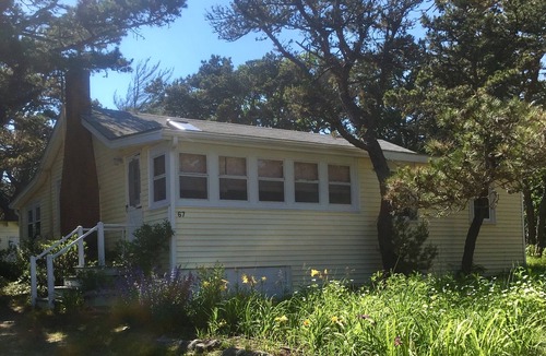Phippsburg Cottage | Surf and Seabirds!