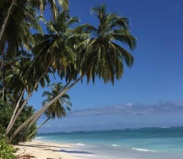 Katiet Hostel | Surf Homestay Katiet surfing barrrels short motorcycle only minute from our places Bintang wave,Lance wave,HTs wave,monkeyWave